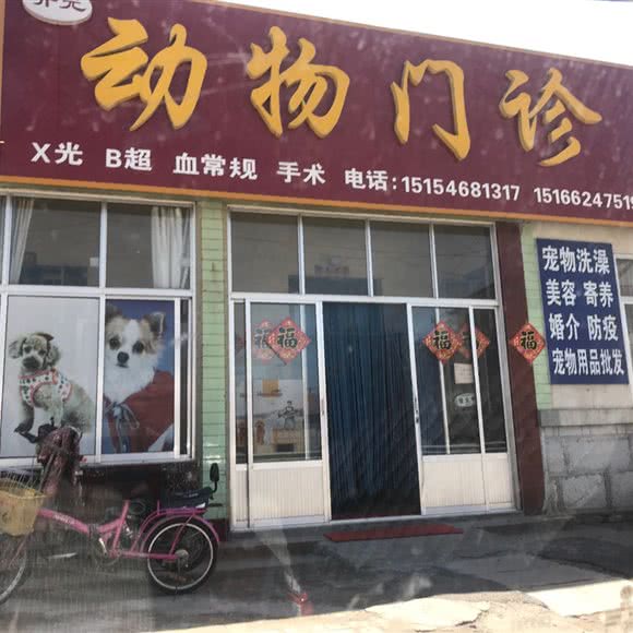 开元动物门诊:东营市利津县