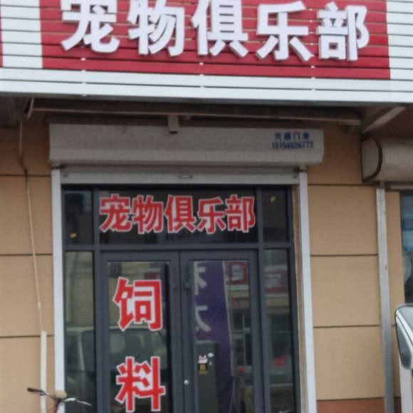 宠物俱乐部:东营市广饶县