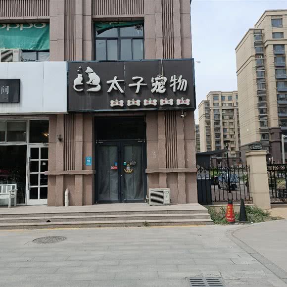 太子宠物:东营市广饶县