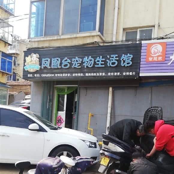 凤凰台宠物生活馆(凤凰台店):烟台市芝罘区