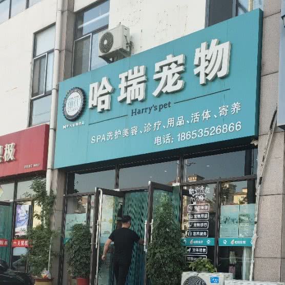 哈瑞宠物:烟台市牟平区