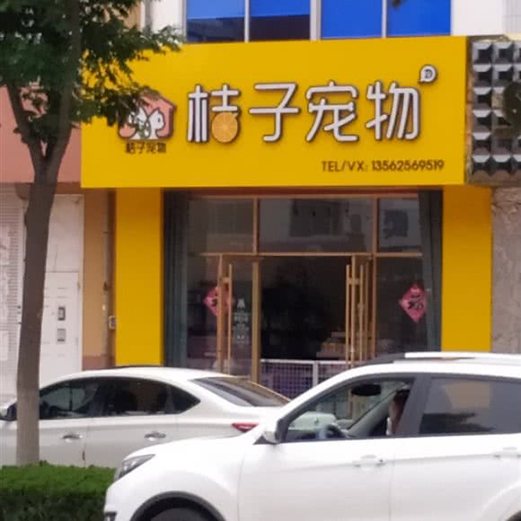 桔子宠物:烟台市牟平区