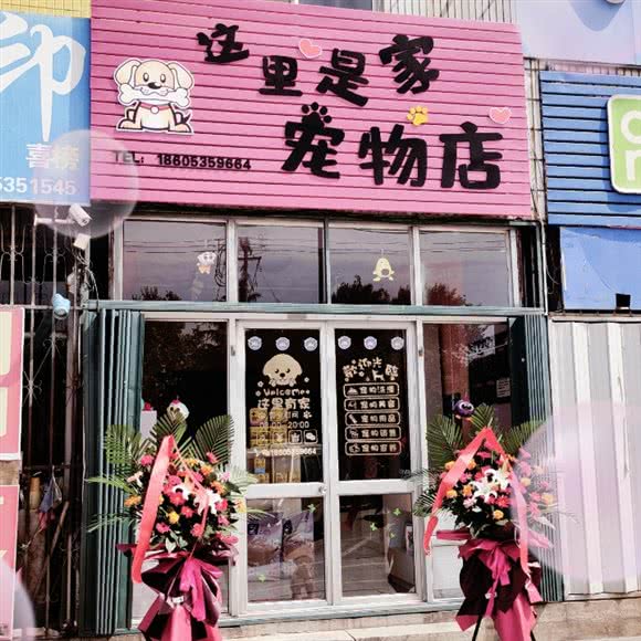 这里是十家宠物店:烟台市龙口市