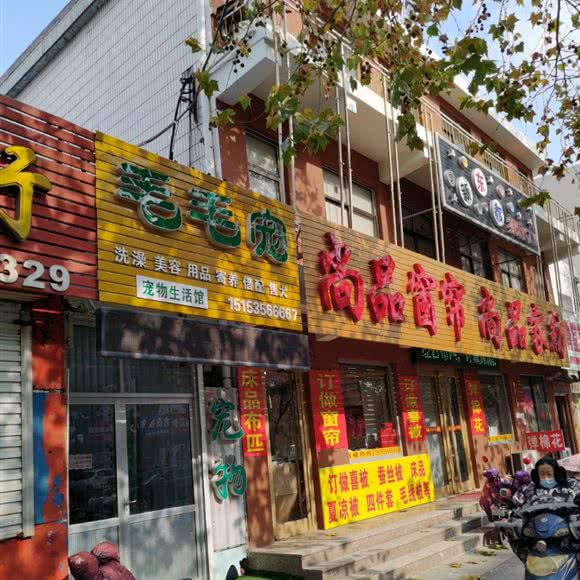 毛毛宠:烟台市莱阳市