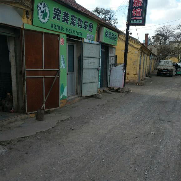 完美宠物狗乐园:烟台市莱阳市