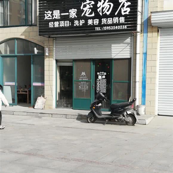 这是一家(宠物店):烟台市莱阳市