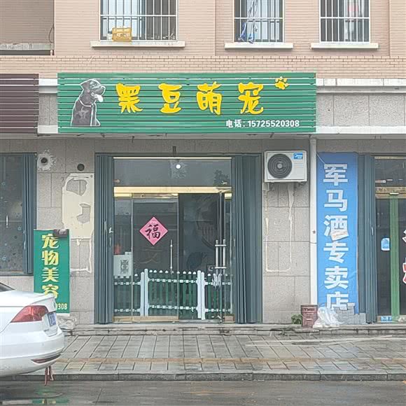 黑豆萌宠:烟台市莱州市