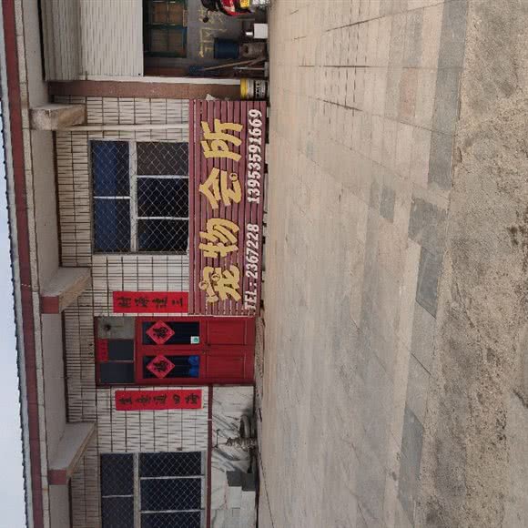 宠物会所:烟台市莱州市