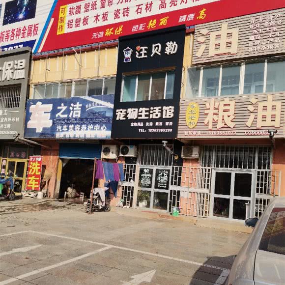 汪贝勒狗狗生活馆:烟台市莱州市