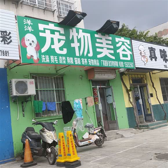 洋洋宠物美容:烟台市莱州市