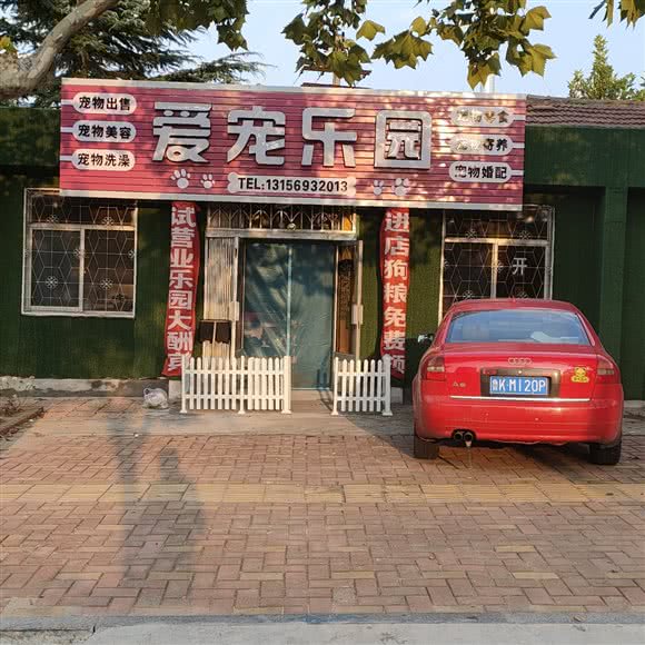 爱宠乐园:烟台市招远市