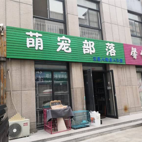 萌宠部落:潍坊市潍城区