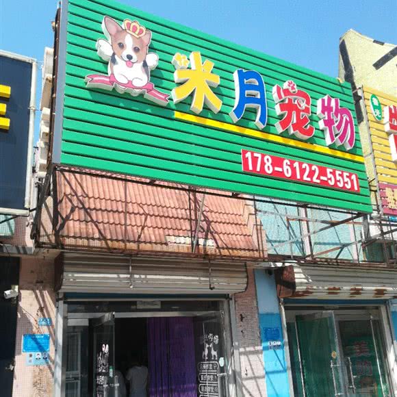 米月宠物:潍坊市寒亭区