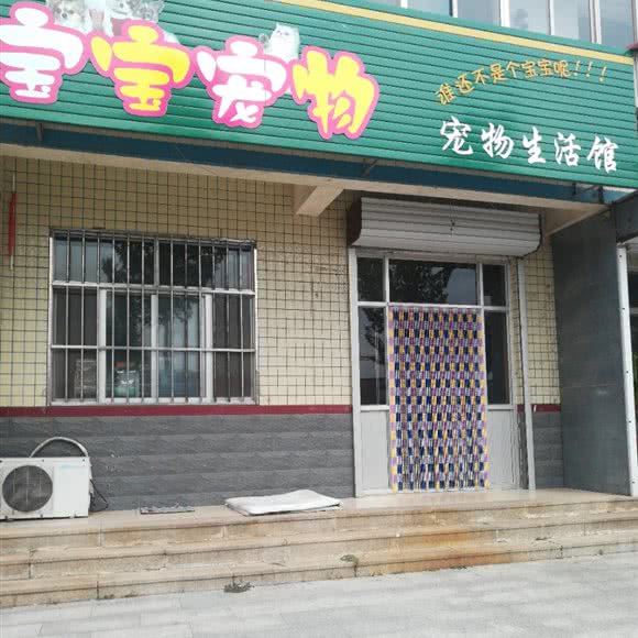 宝宝宠物:潍坊市寒亭区