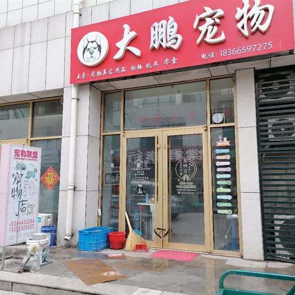 宠物联盟大鹏宠物:潍坊市坊子区