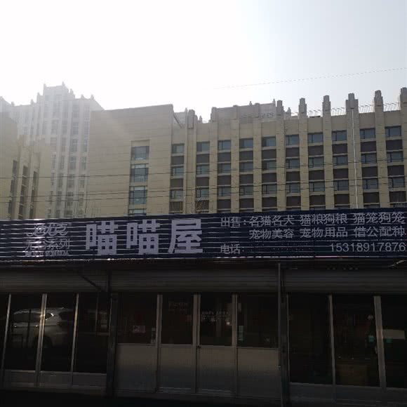 喵喵屋:潍坊市奎文区