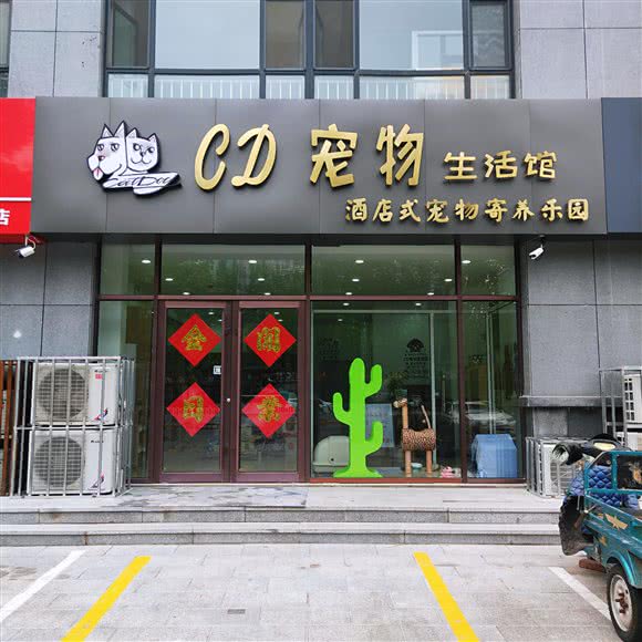 DVD宠物生活馆:潍坊市奎文区