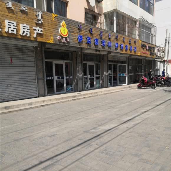 伊克塞宠物:呼和浩特市赛罕区师大附近