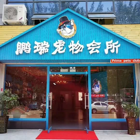 鹏瑞宠物会所:潍坊市奎文区
