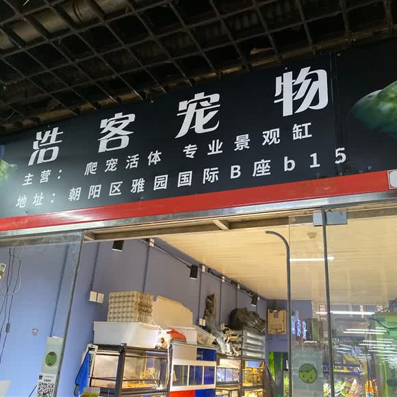 浩客宠物:北京城区朝阳区十里河附近
