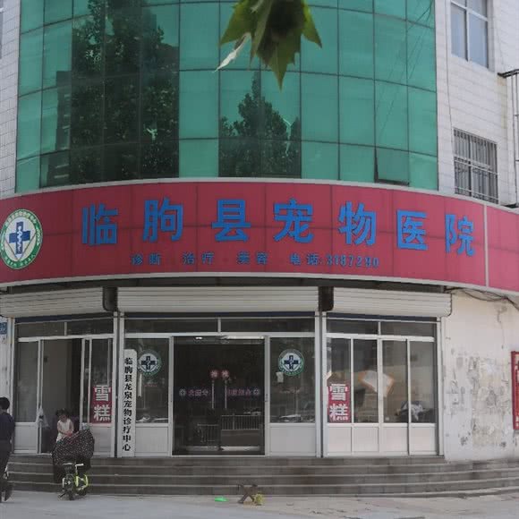临朐县龙泉宠物诊疗中心.:潍坊市临朐县