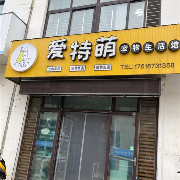 爱特萌宠物生活馆:潍坊市青州市