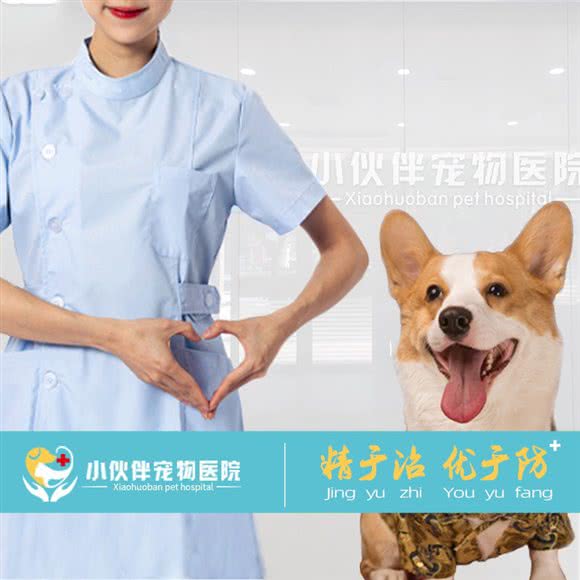 小伙伴宠物医院(寿光店):潍坊市寿光市