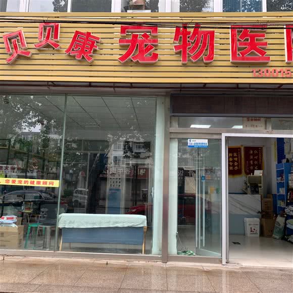 贝贝康宠物医院:潍坊市寿光市