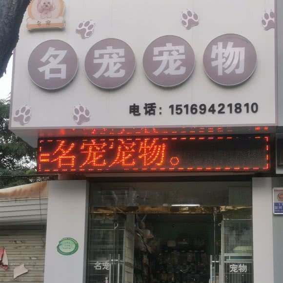 名宠宠物:潍坊市安丘市