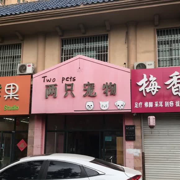 两只宠物:潍坊市高密市