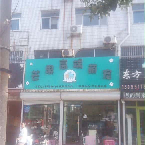 芒果高端萌宠:潍坊市高密市