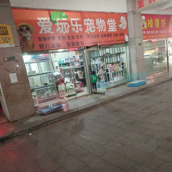 爱玩乐宠物堂:潍坊市昌邑市