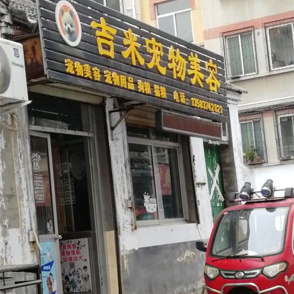 吉米宠物美容:济宁市兖州区
