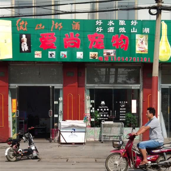 爱尚宠物:济宁市微山县