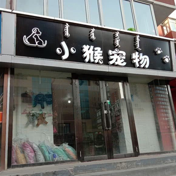 小猴狗狗:包头市东河区工业路附近