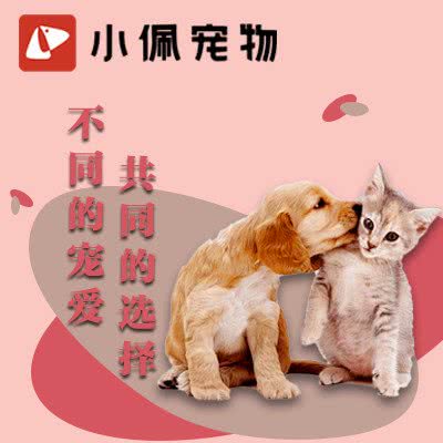 小佩宠物(山水文园店):北京城区朝阳区十里河附近