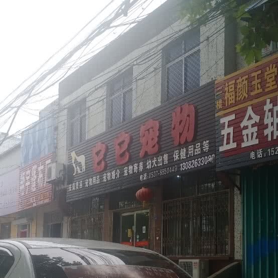 它它宠物:济宁市嘉祥县