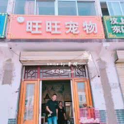 旺旺犬业:济宁市汶上县