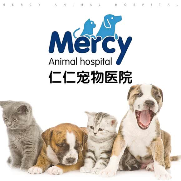 仁仁宠物医院:包头市东河区工业路附近