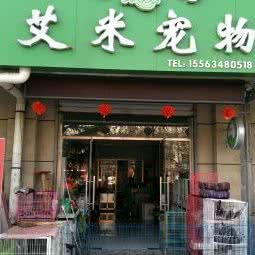 艾米宠物:济宁市泗水县