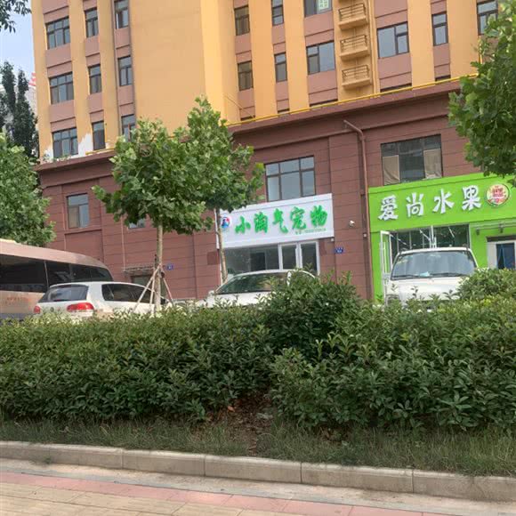 小淘气宠物:济宁市泗水县