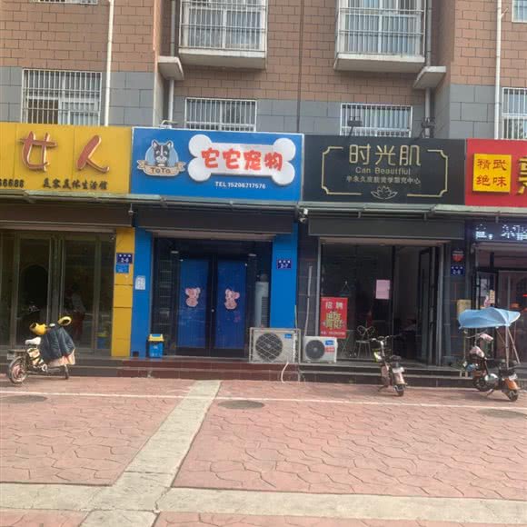 它它宠物:济宁市泗水县