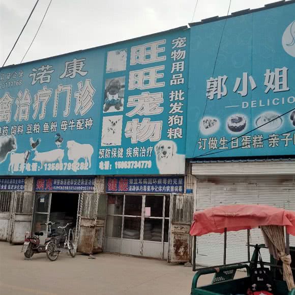 旺旺宠物:济宁市梁山县