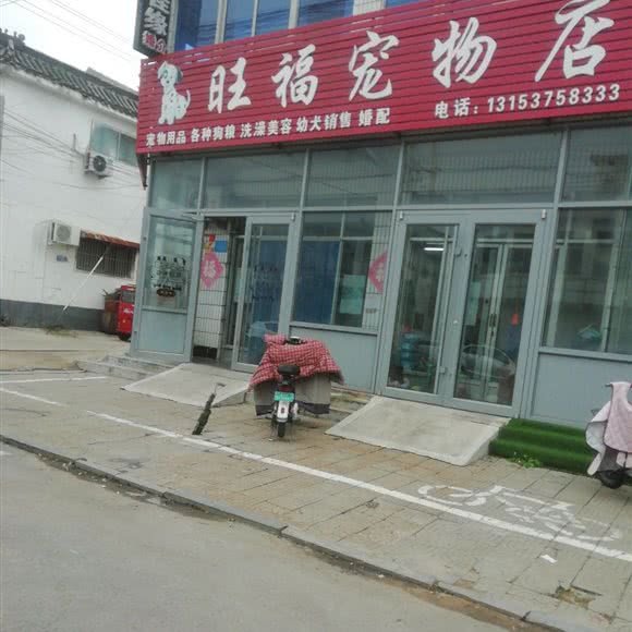 旺福宠物店:济宁市曲阜市