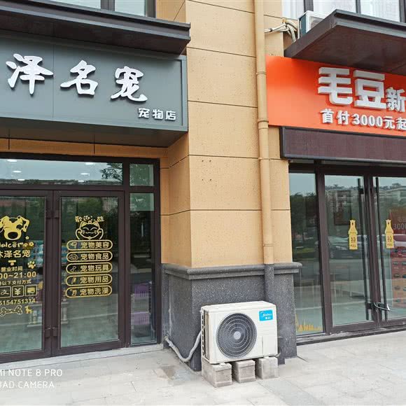 沐泽名宠宠物店:济宁市曲阜市