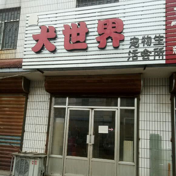 鲁城宠物吧:济宁市曲阜市