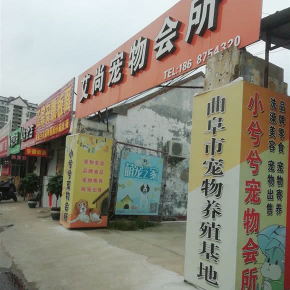 艾尚宠物会所:济宁市曲阜市