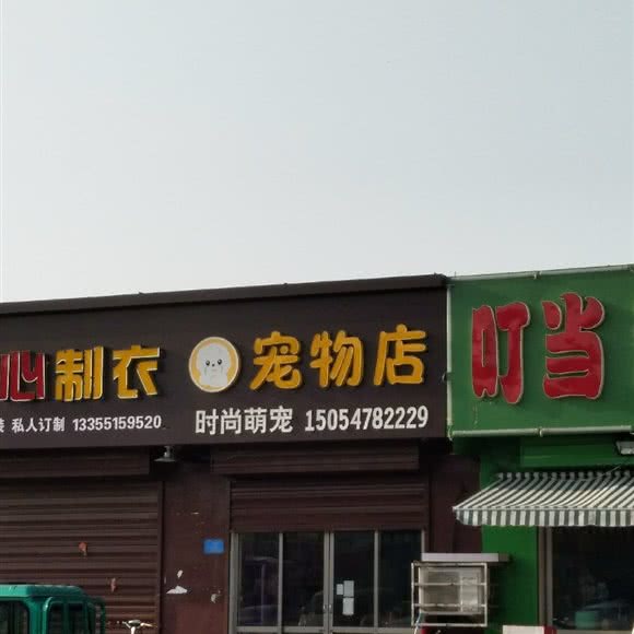 宠物店:济宁市曲阜市