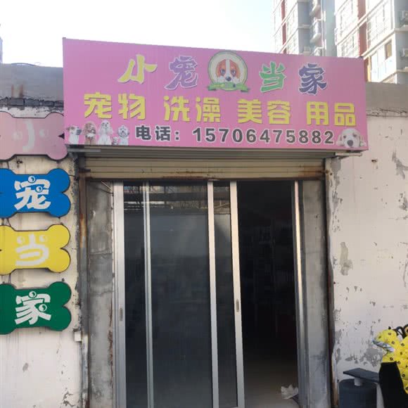小宠当家(文汇路店):济宁市邹城市