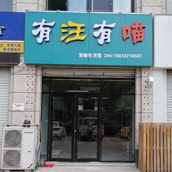 有汪有喵:泰安市泰山区